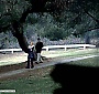 Filename=074.jpg
Filesize=75KiB
Dimensions=720x540
Date added=Aug 13, 2013 074.jpg